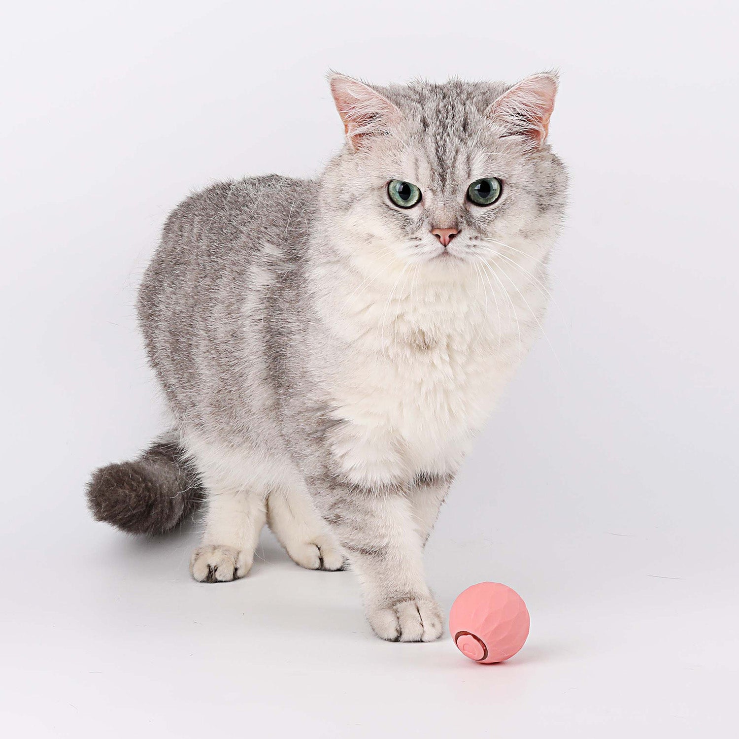 Wloom Power Ball 2.0 Cat Toy, Aiveys Cat Ball, Aiveys Smart Ball Cat,  Zombie Balls for Cats Playtime, Gertar Cat Toy (2pcs Pink)