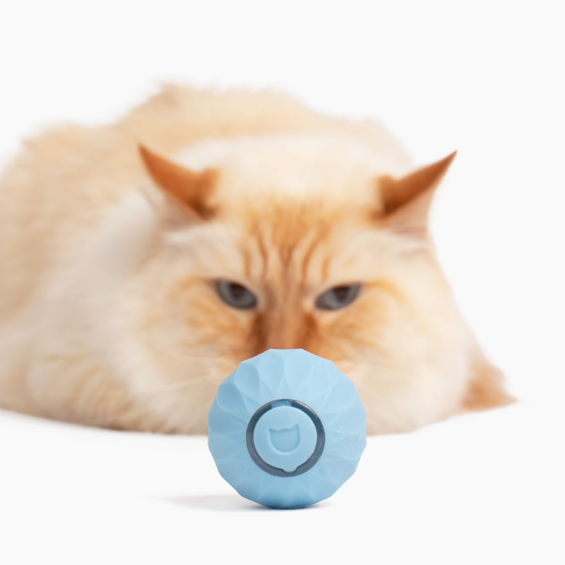  EARFORU Purrball Purr Ball Cat Toy, Power Ball Powerball 2.0  Cat Toy, Rotating Smart Ball Cat Aiveys, Interactive Automatic Rolling  Smart Ball, Peppy Pet Ball for Cats Indoor Outdoor (2 Ball) 